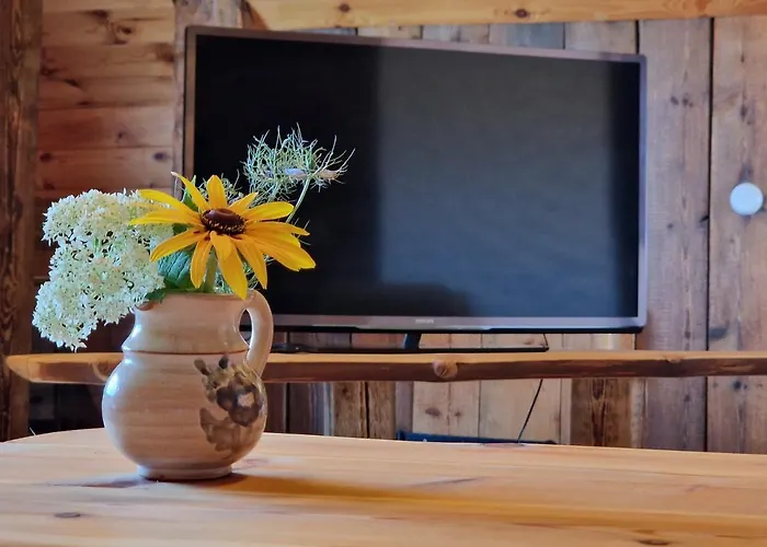 Puhkemaja Uue-jaani Talu Puhkemaja